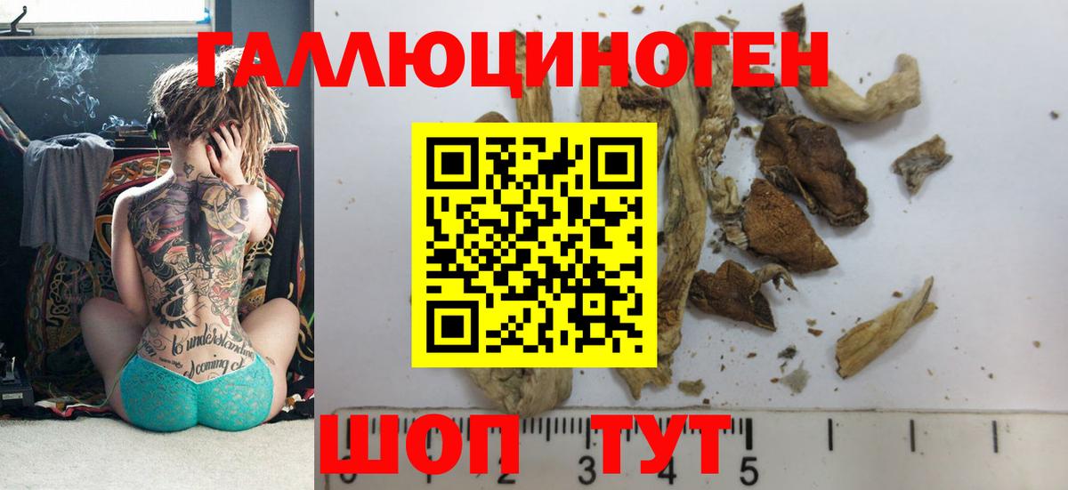 Псилоцибиновые грибы MAGIC MUSHROOMS Людиново